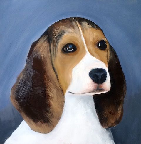 A Beagle Named Huey